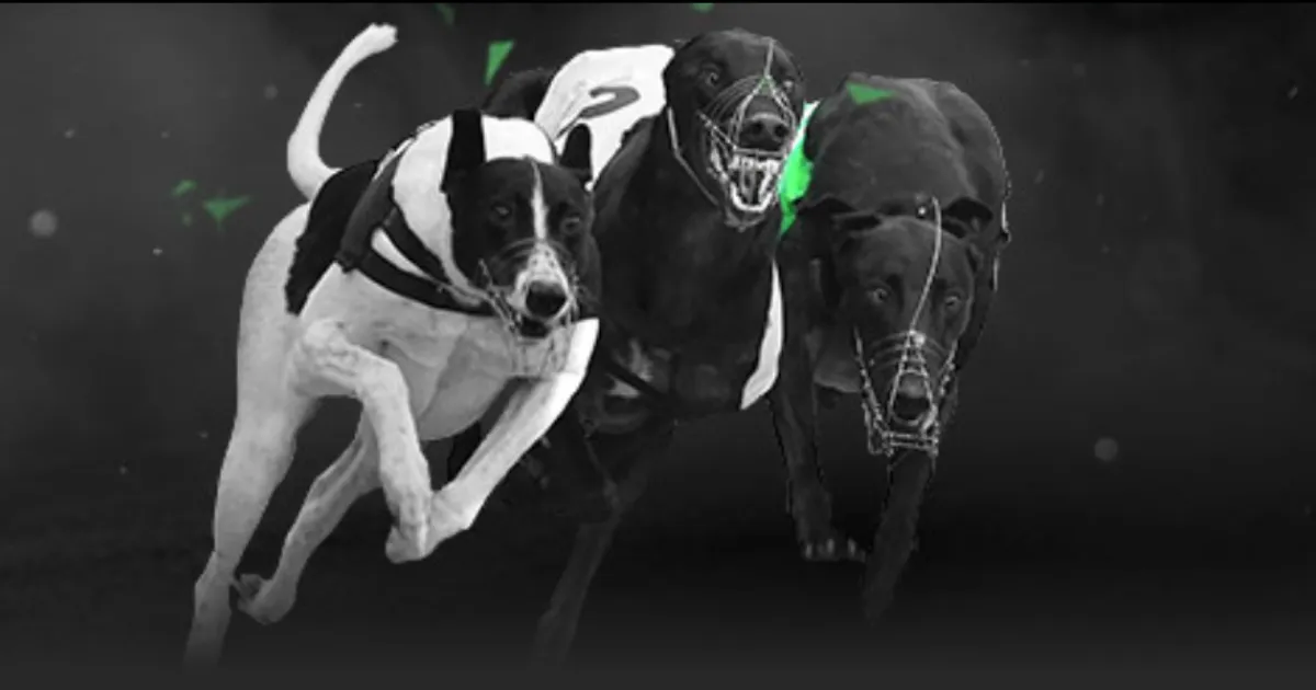 中超,深圳队连败,九场,体育彩票,足彩,足球彩票,北京PK10赛车,足彩比分直播,足球比分直播,北京PK10赛车足球,彩票,彩票网,北京PK10赛车网,福利彩票