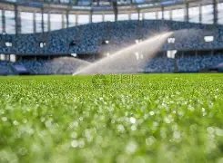 卡鲁索和多,特华莱士固,守防线,体育彩票,足彩,足球彩票,北京PK10赛车,足彩比分直播,足球比分直播,北京PK10赛车足球,彩票,彩票网,北京PK10赛车网,福利彩票