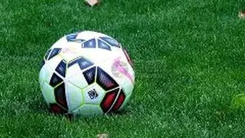 巴西球星塞尔吉尼奥入籍中国，国足阵容拼图圆满收官。